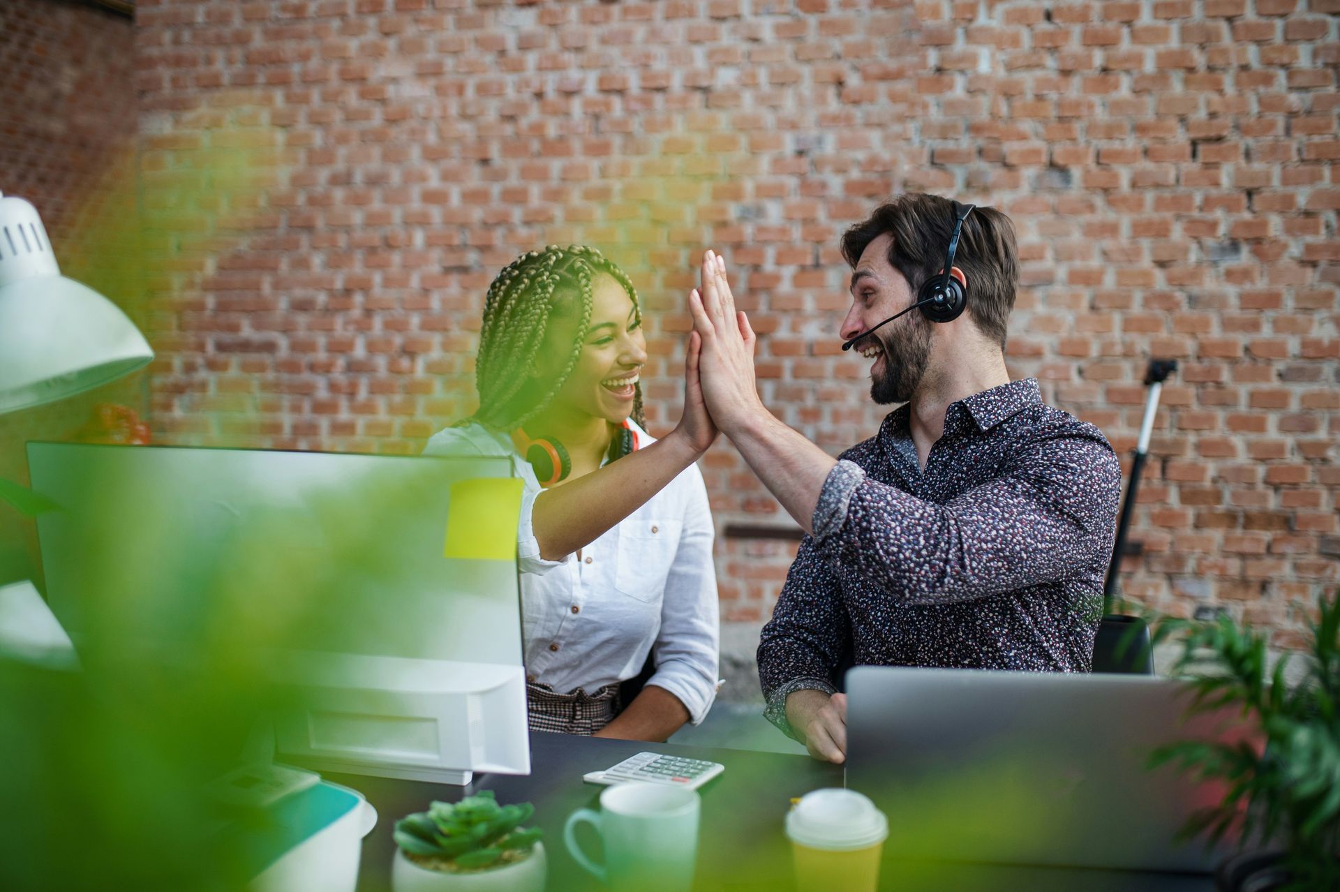 Two coworkers high-five in a bright office with plants and a brick wall.
