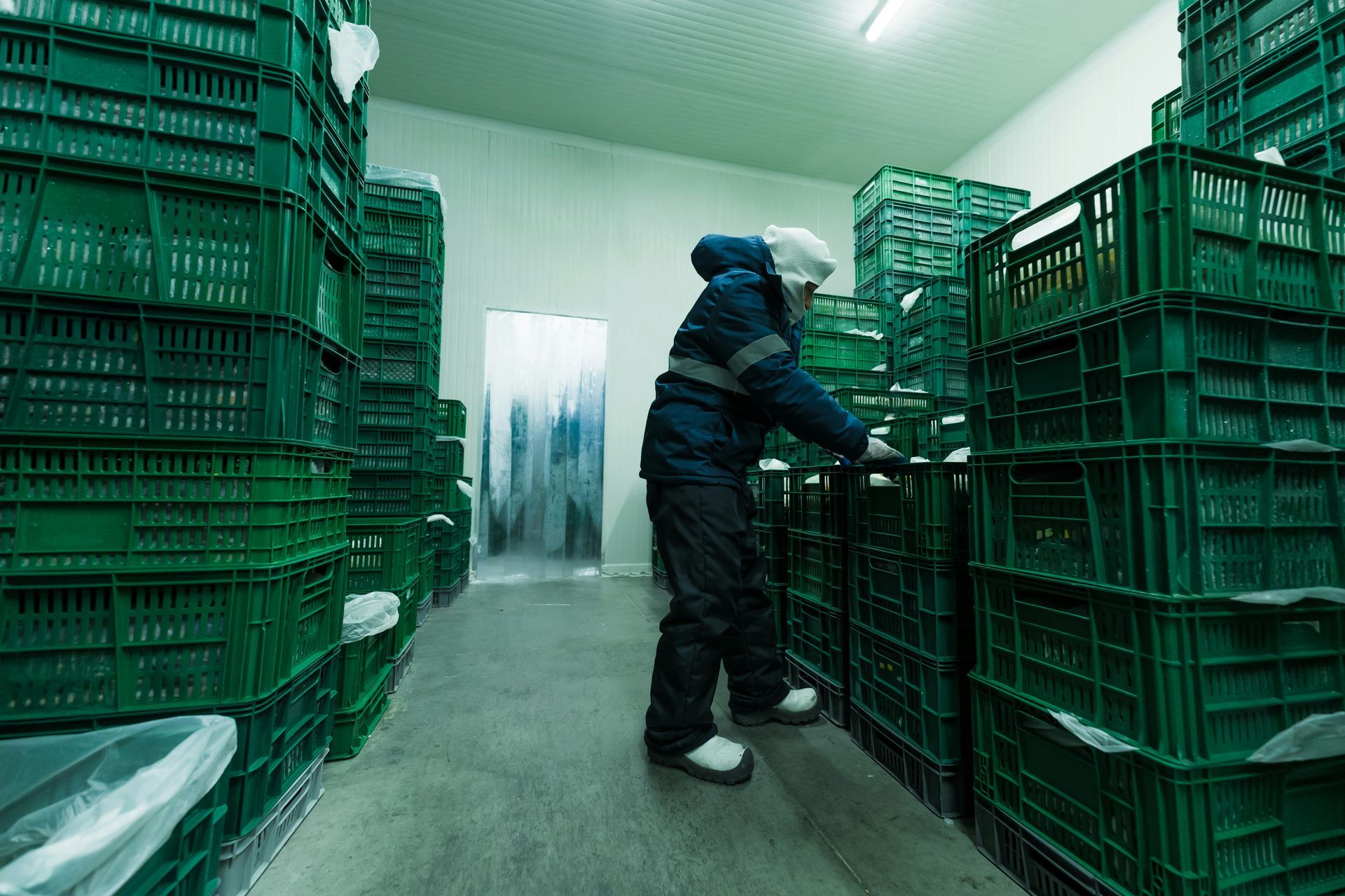 Worker in a cold storage aisle stacking green crates on shelves