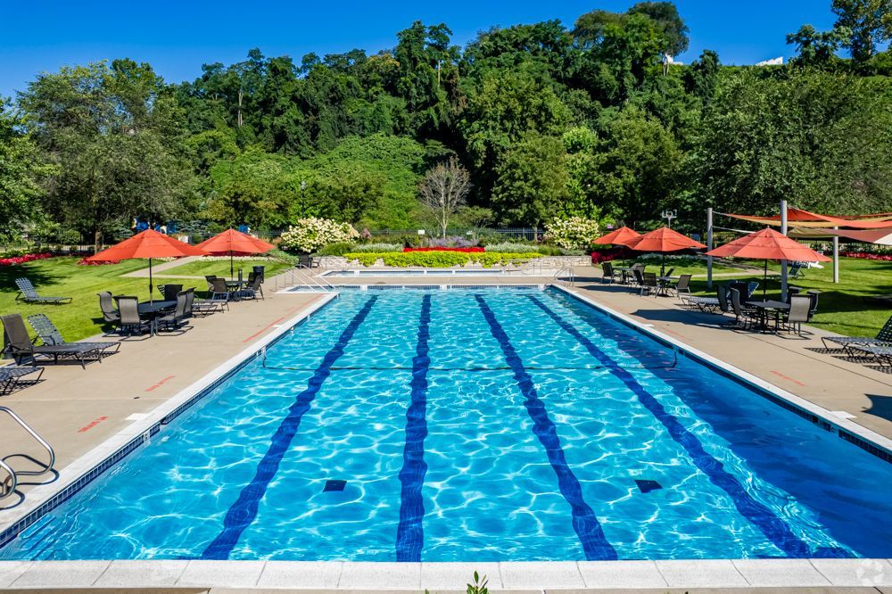 pool photo surrounded by grass
