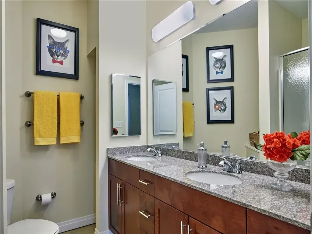 Bathroom photo alternate angle