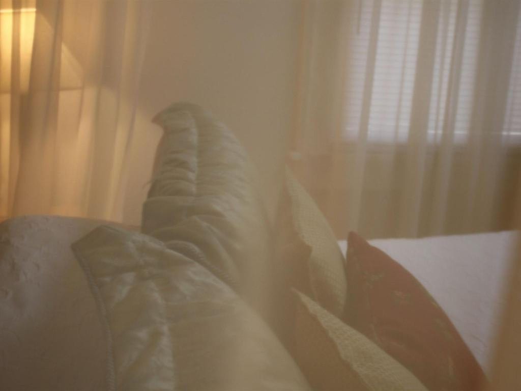 Soft-focus image of a sofa with patterned pillows. Sheer curtains and a window with blinds are in the background, creating a warm, diffused light.
