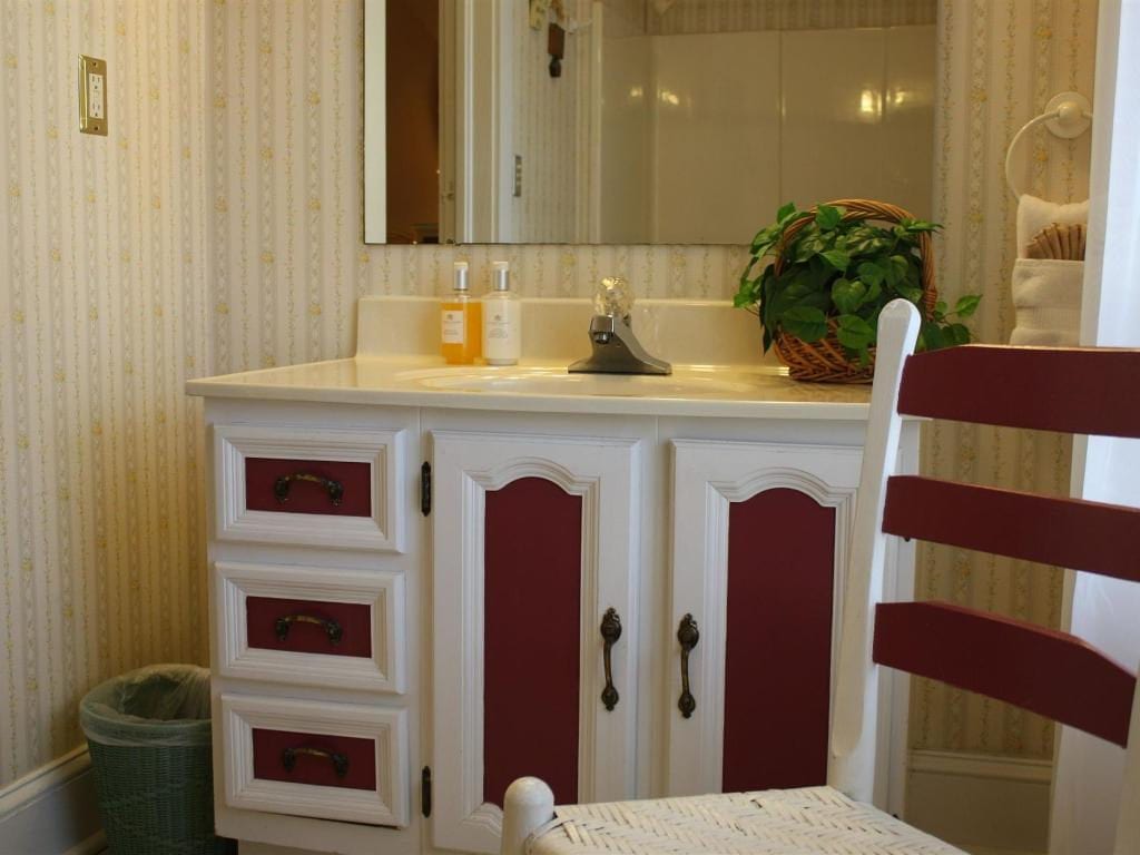 Bathroom vanity with white trim, burgundy panels, and a white countertop; a plant and mirror are visible.