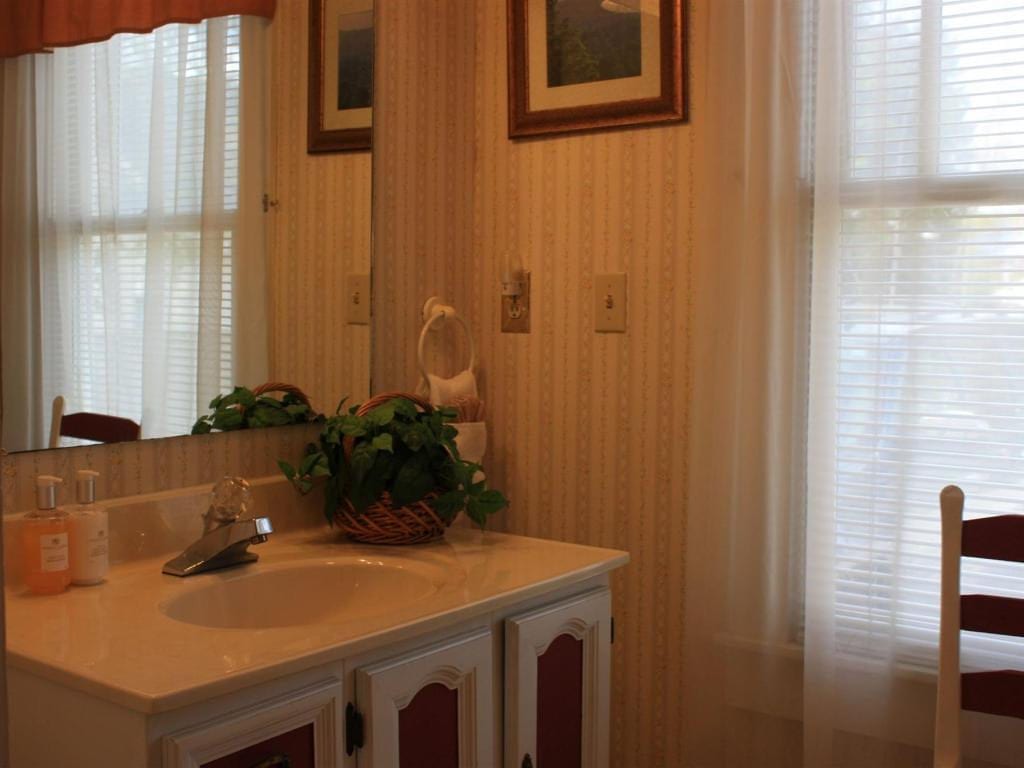 Bathroom with white sink, cabinet, and walls. A potted plant sits on the counter. A mirror and artwork hang on the walls.