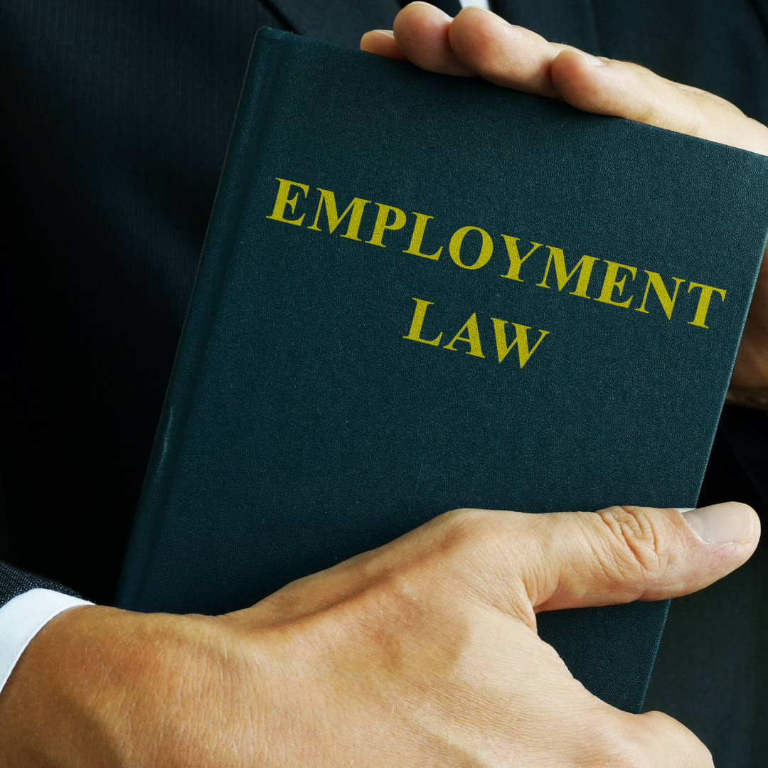 A person is holding a book titled employment law
