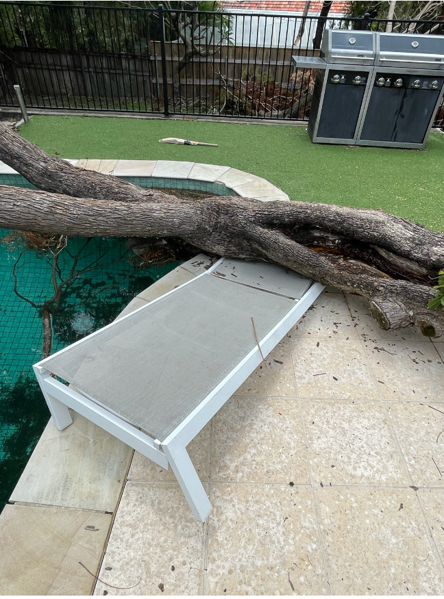 Emergency Tree Removal Brisbane