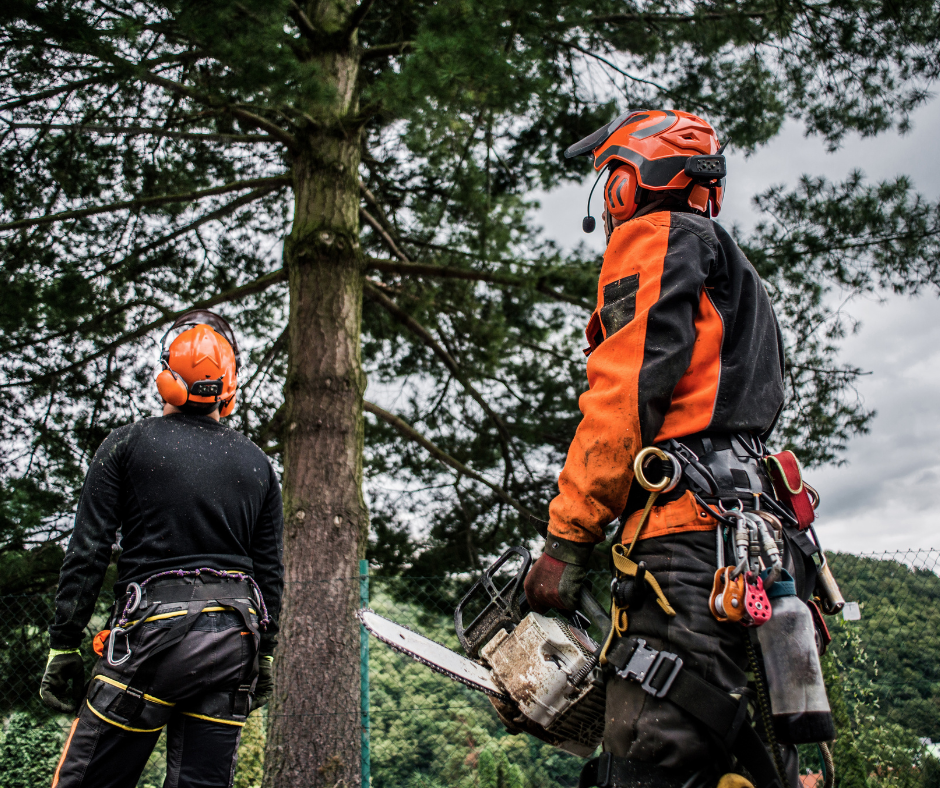 Tree Service Company