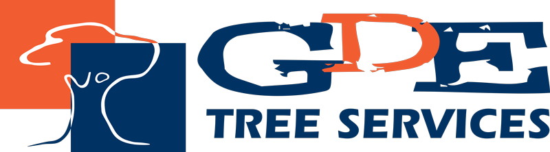 TREE REMOVAL BRISBANE