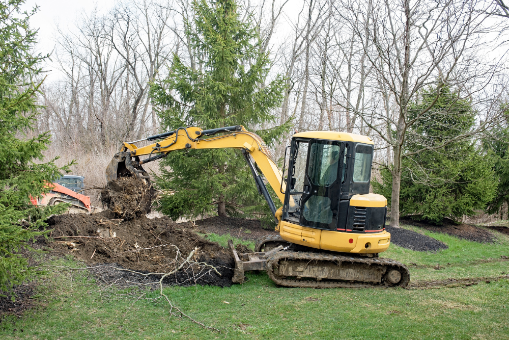 root tree removal