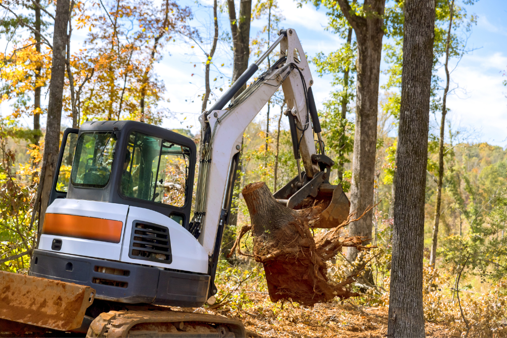 tree removal service