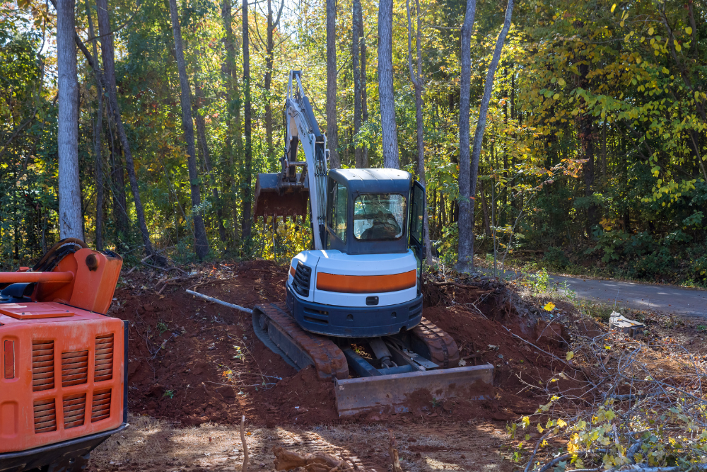 tree lopping service