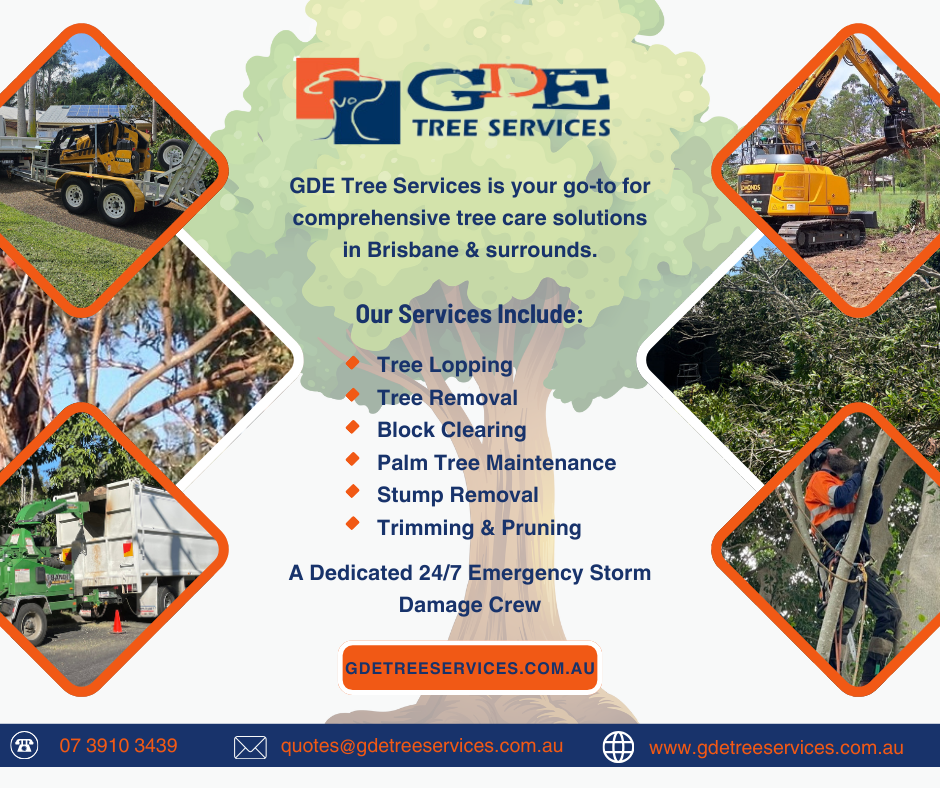 Tree Lopping services Brisbane