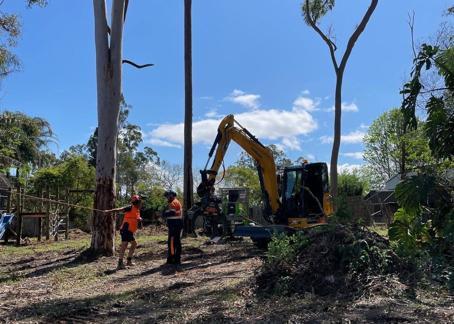 Tree Removal Acacia Ridge