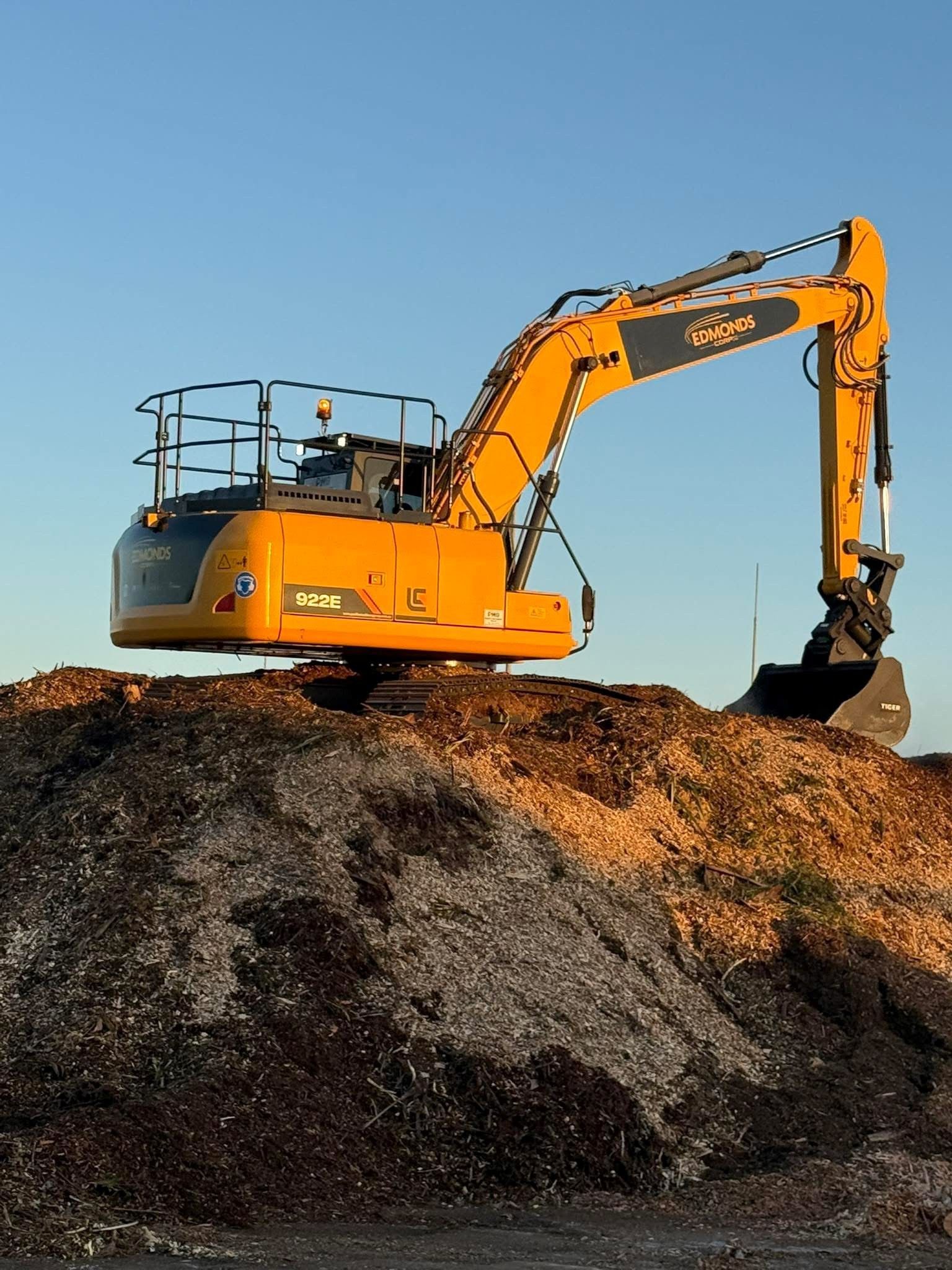 tree loppers in Redland Bay