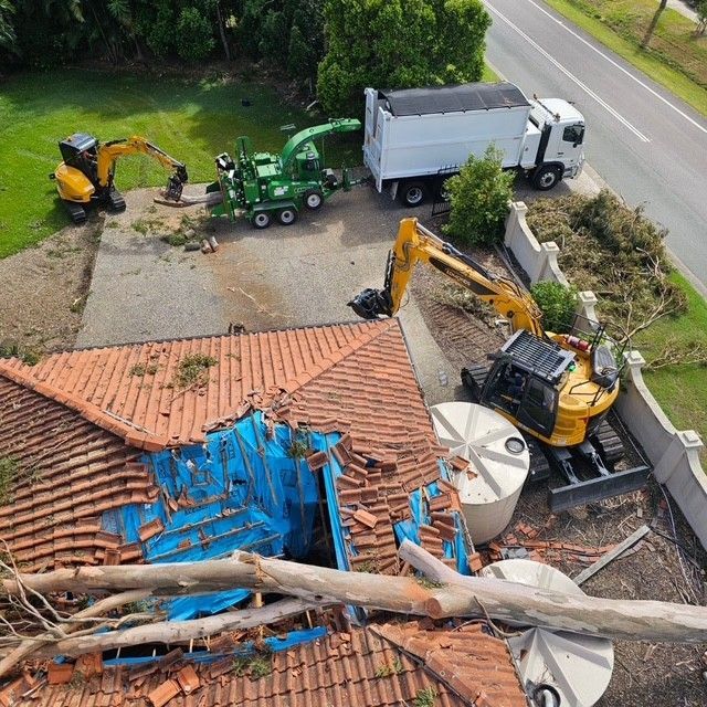 tree loppers ipswich