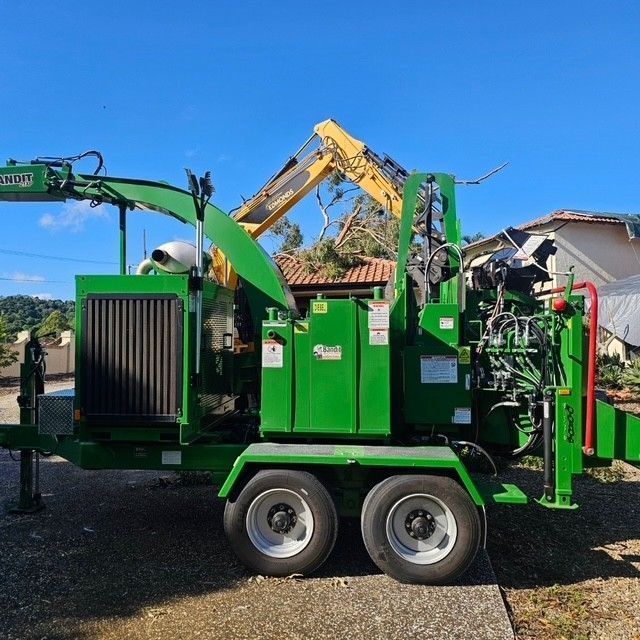 tree loppers in ipswich
