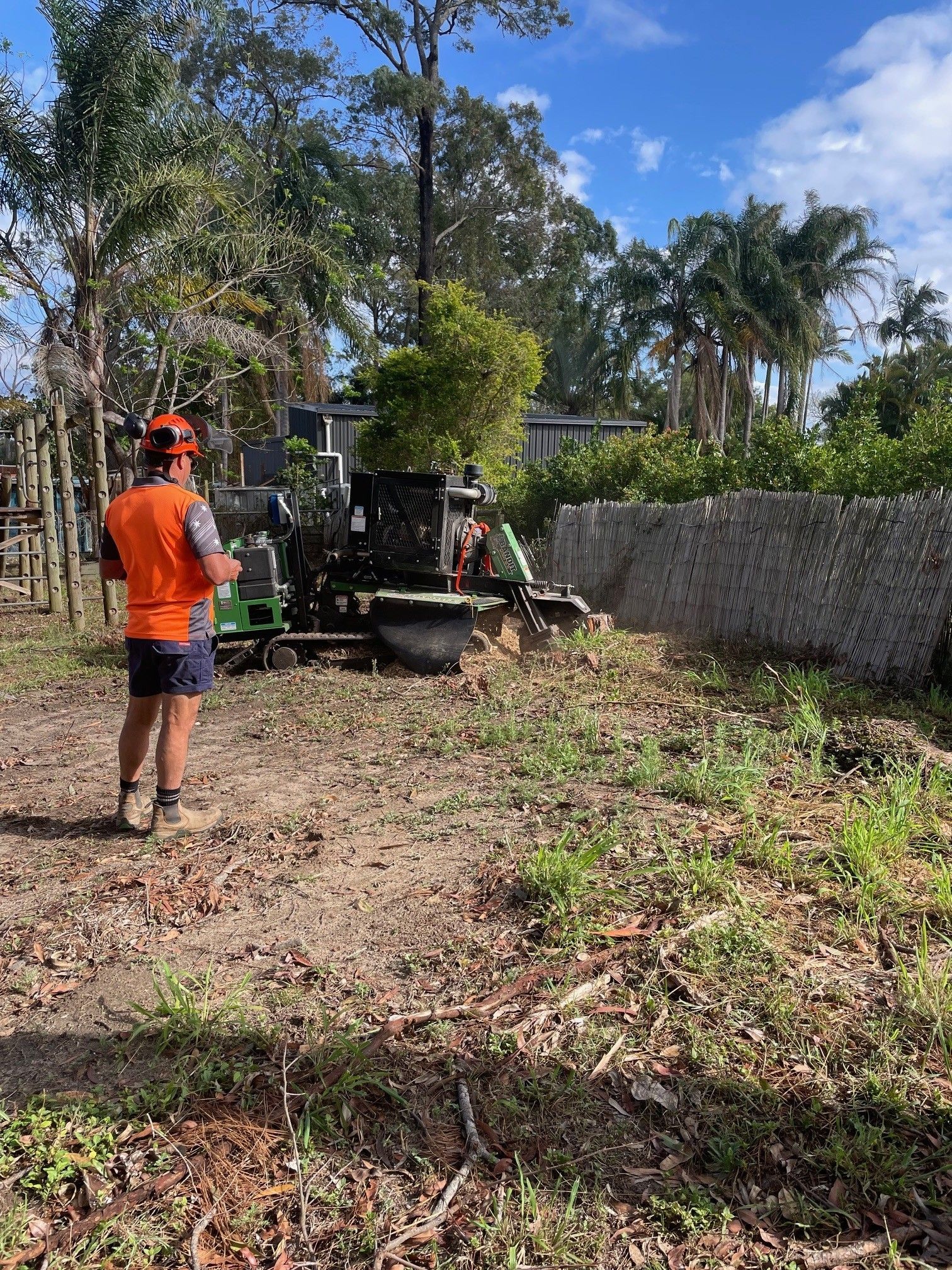 tree removal acacia ridge