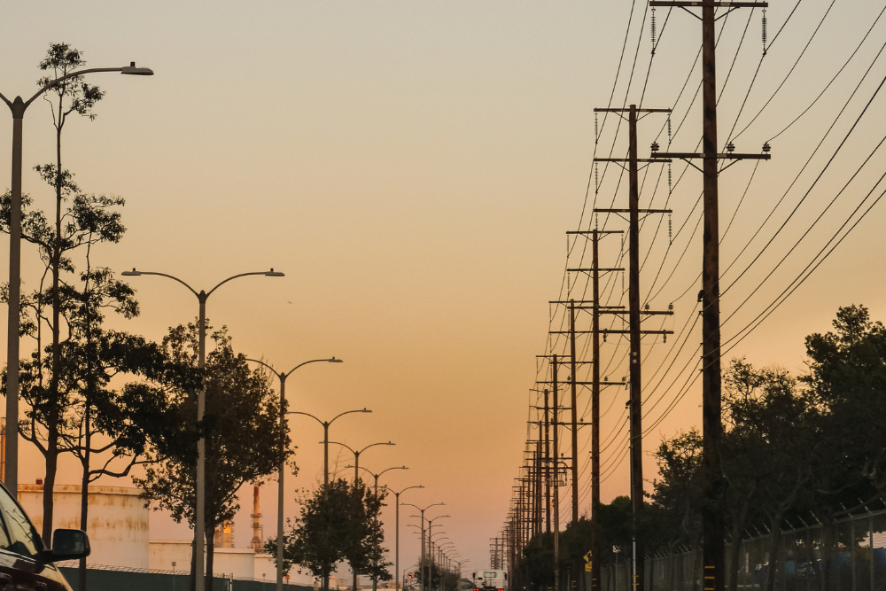 Trees Get to Utility Lines
