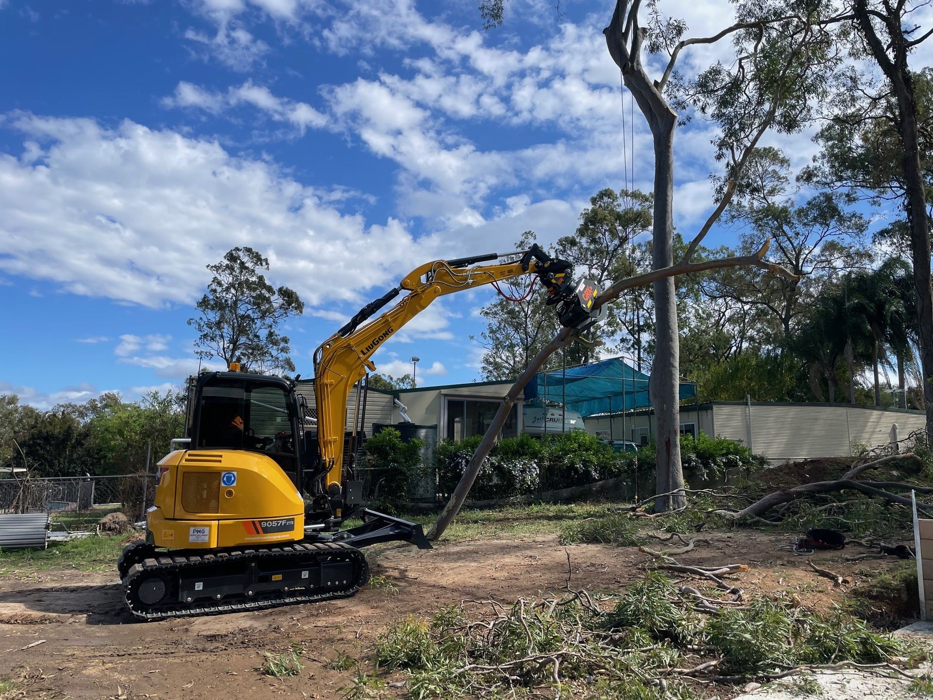 Tree Removal Tree Removal Tinglapa