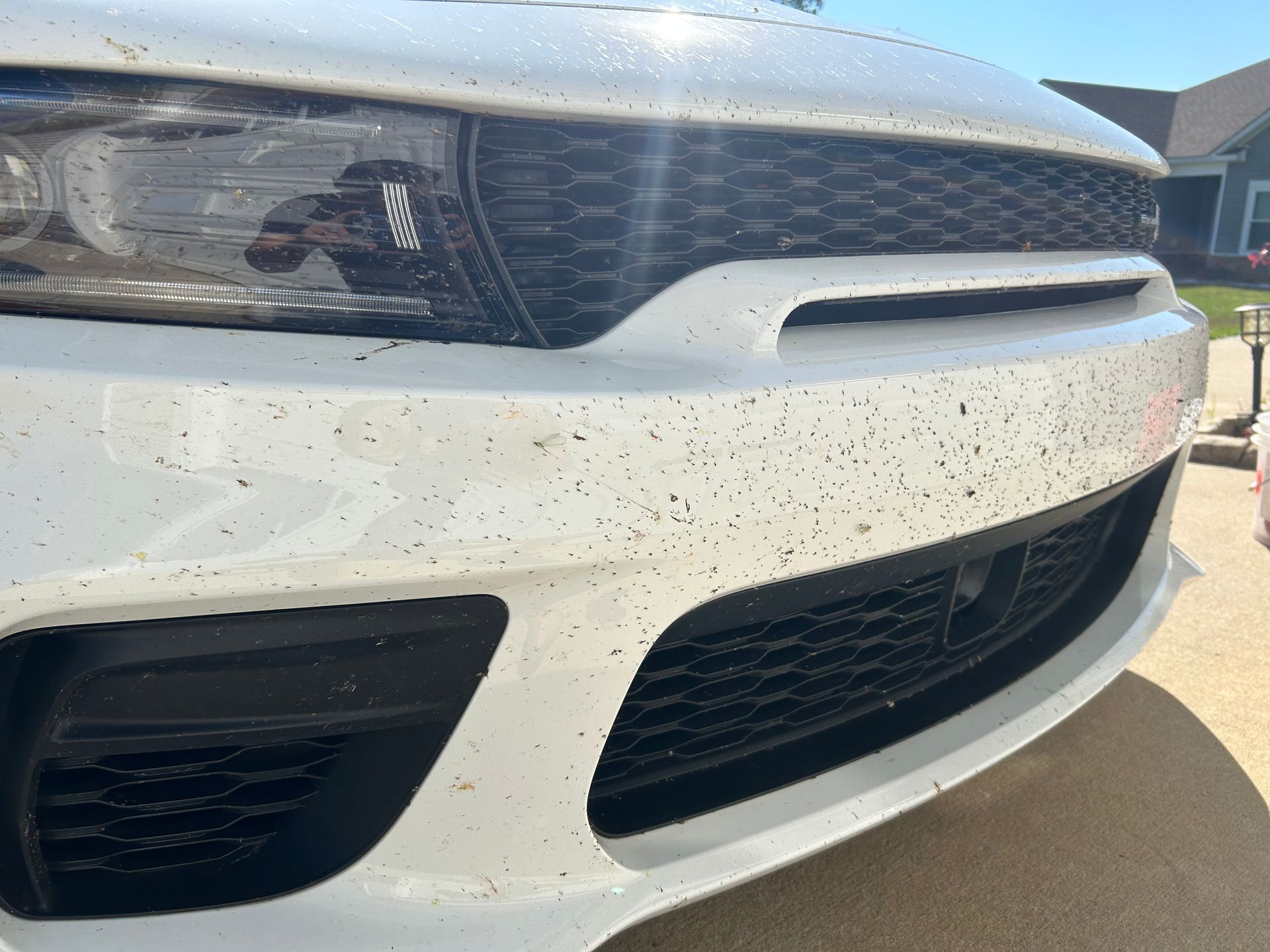 White car's front bumper covered in small black specks, possibly insects, under a sunny sky.