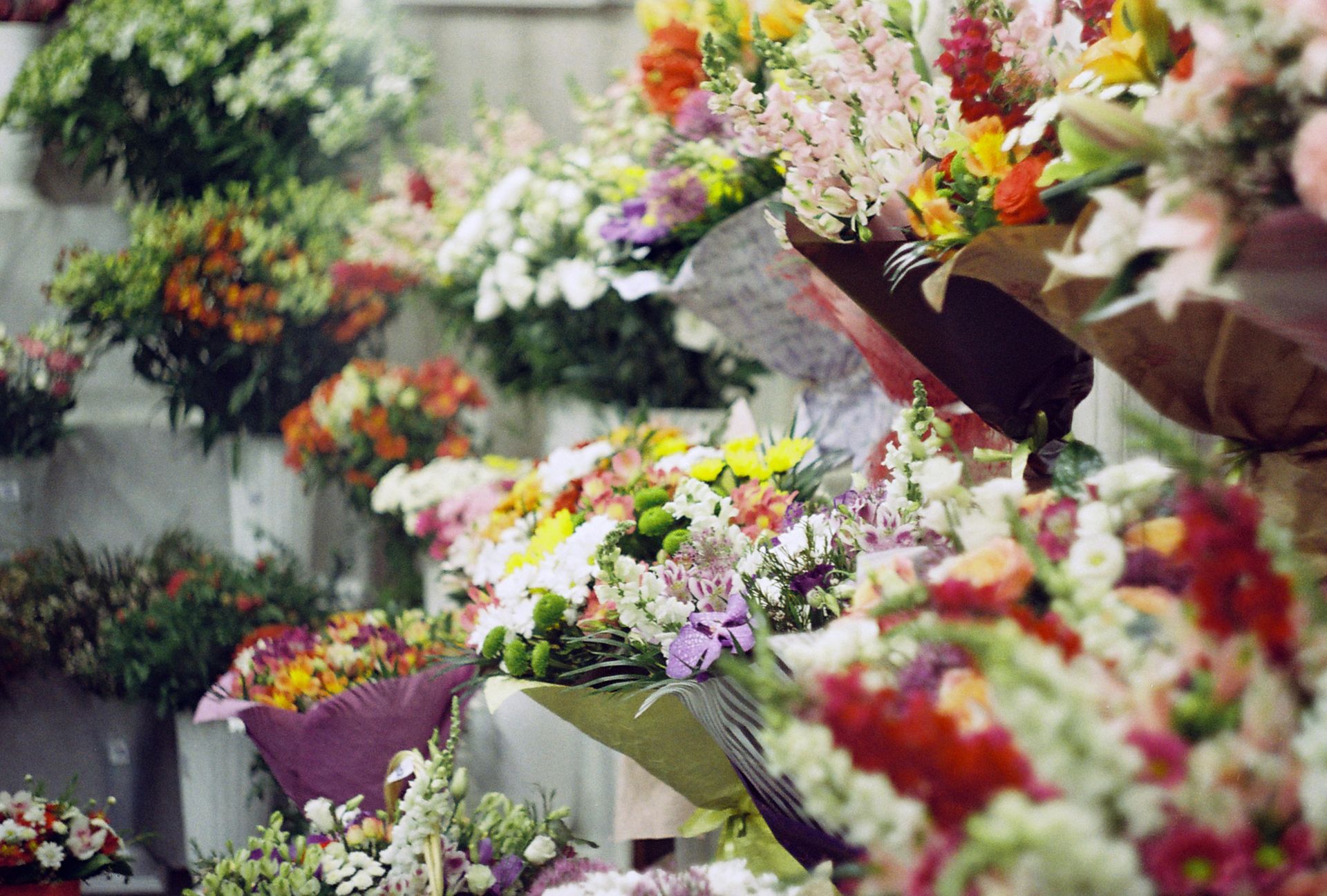 Bouquets of colorful flowers on display in a flower shop.