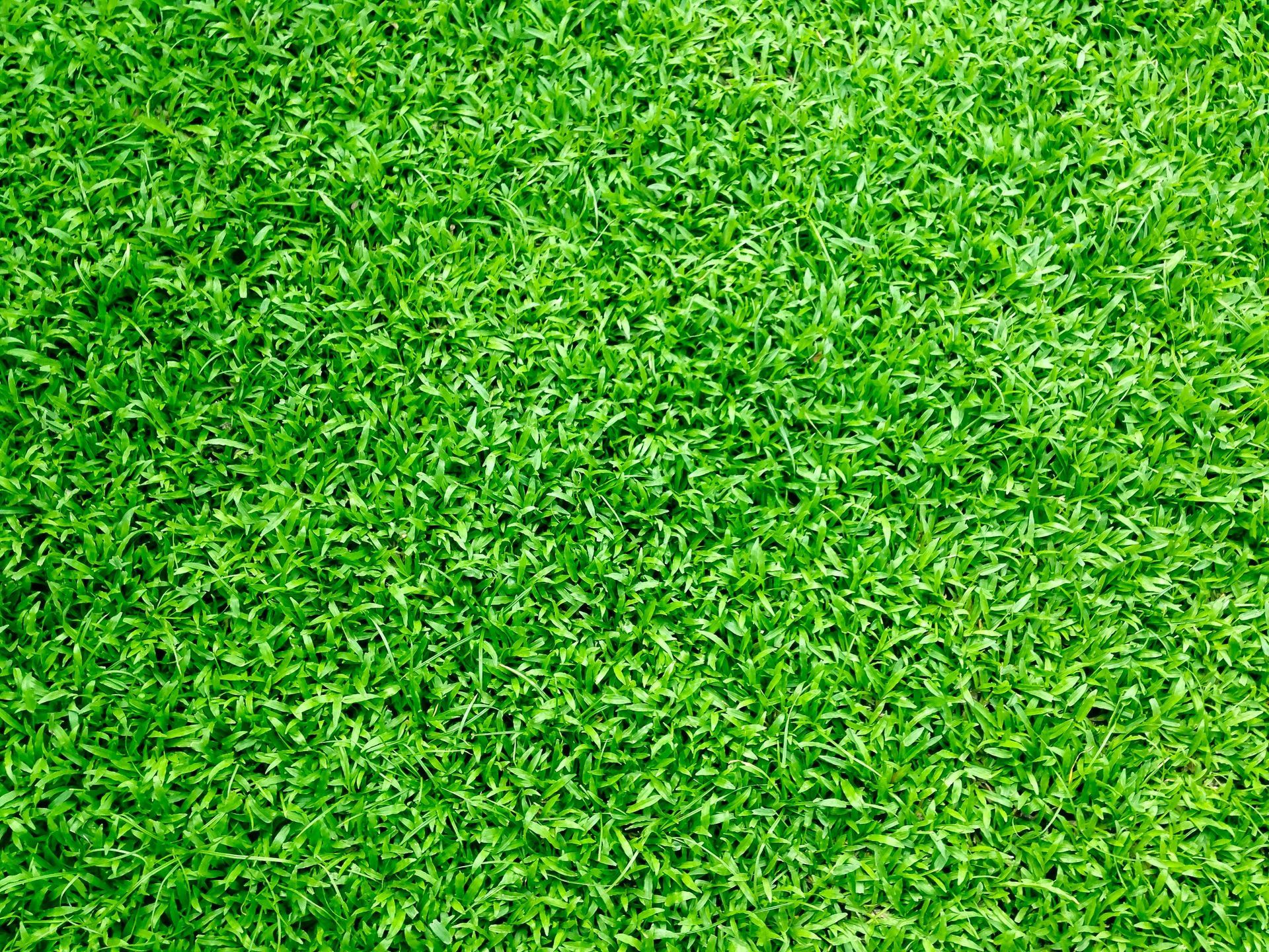 Lush, bright green lawn, tightly mowed.