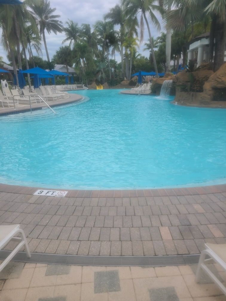 A large swimming pool surrounded by palm trees and chairs.