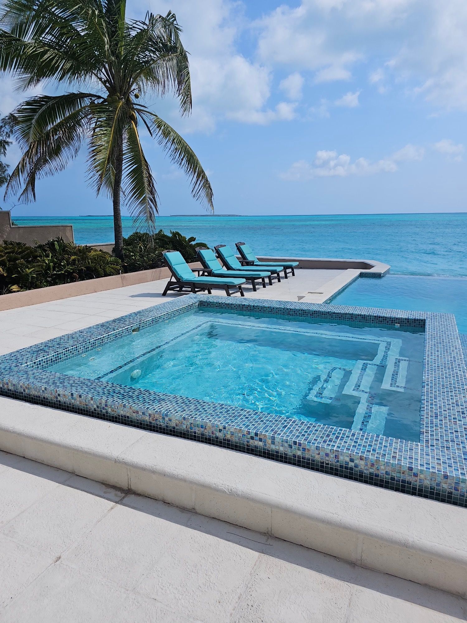 A large swimming pool with a view of the ocean and palm trees.