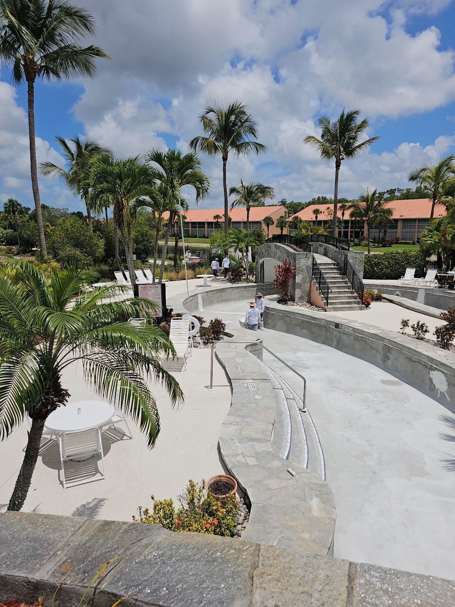 A large swimming pool surrounded by palm trees on a sunny day.