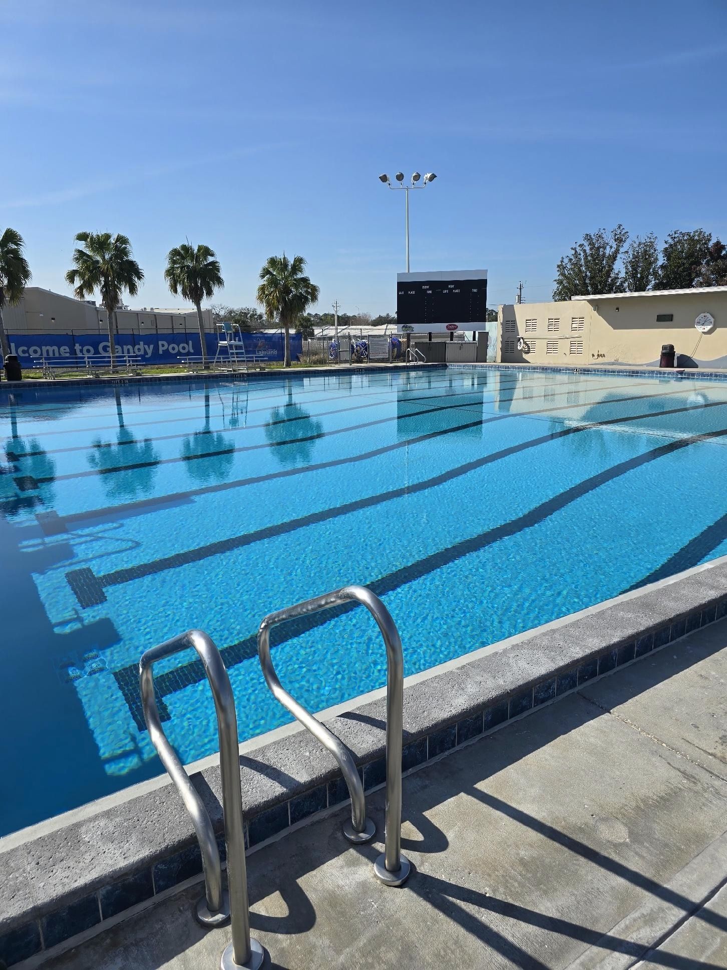 A large swimming pool with stairs leading to it and palm trees in the background.