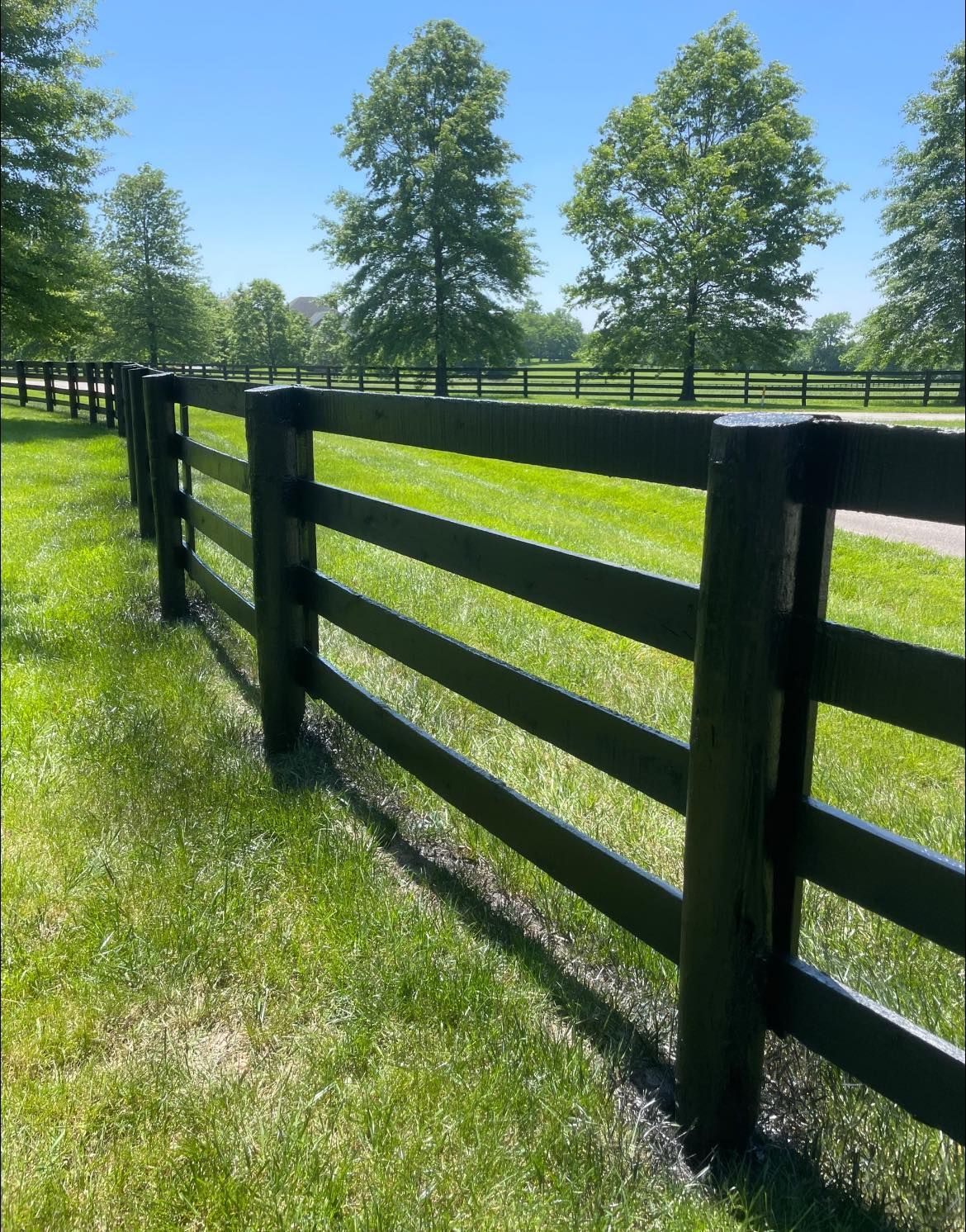 A large grassy field with a blue sky and clouds in the background.