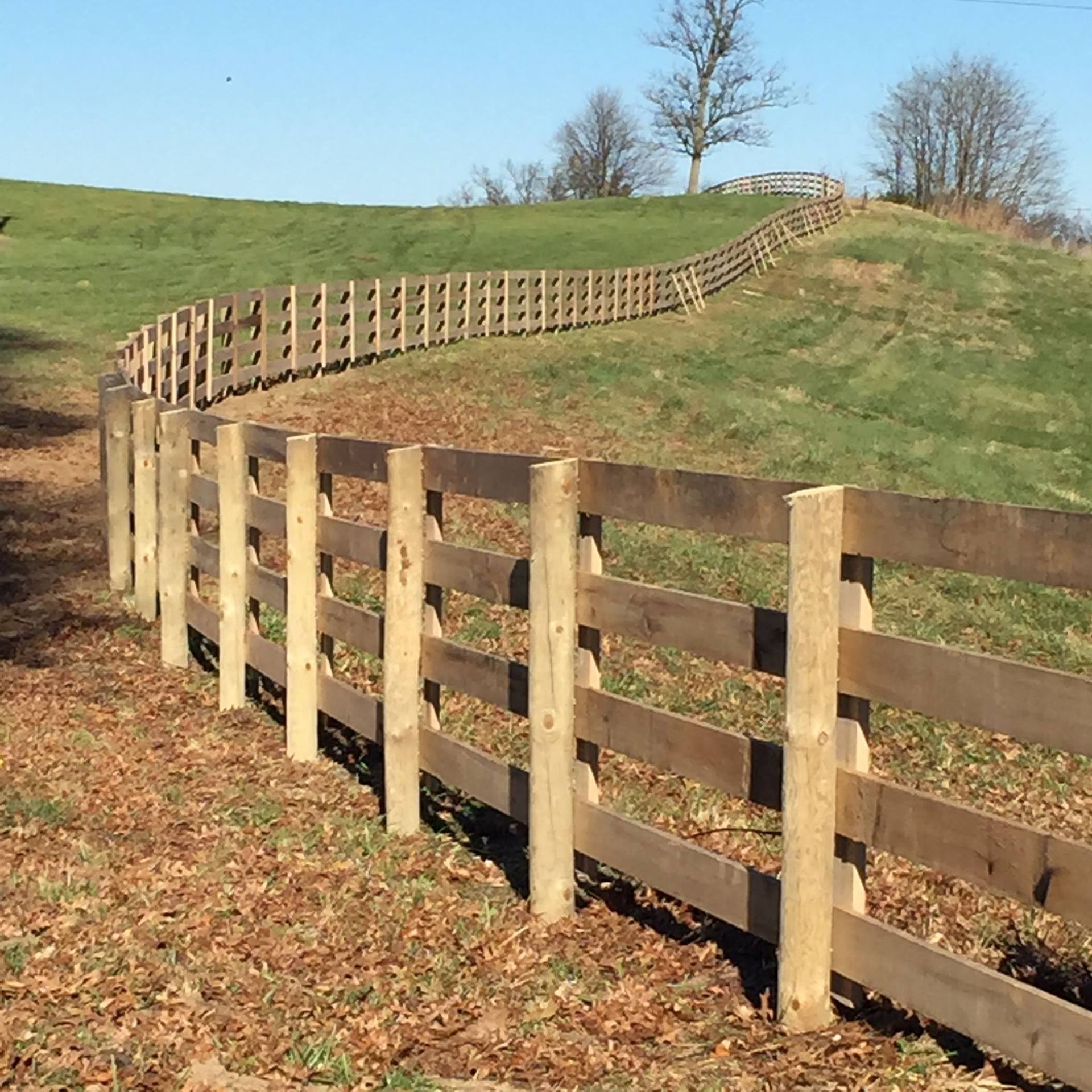 A grassy field with trees and a fence in the background