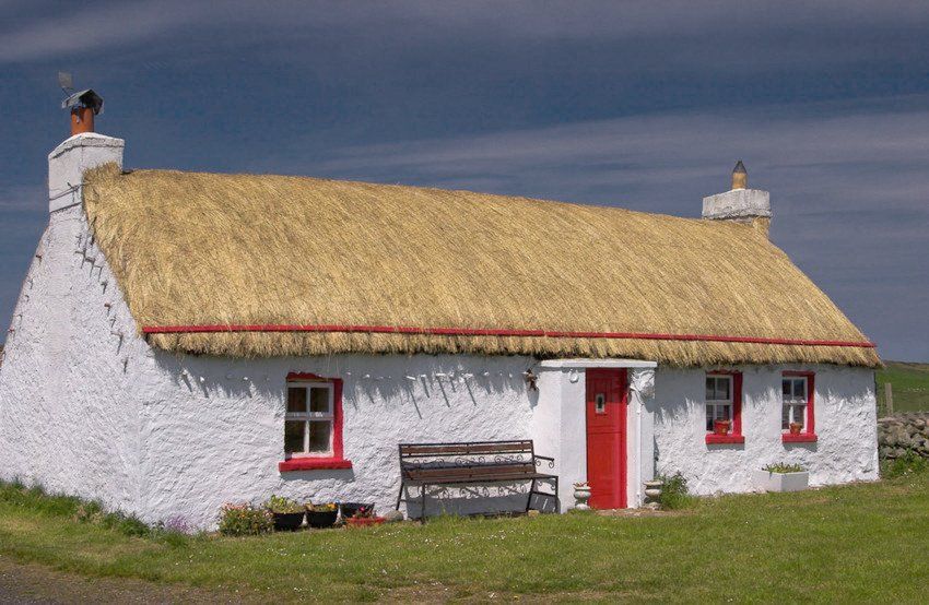Thatching services 1