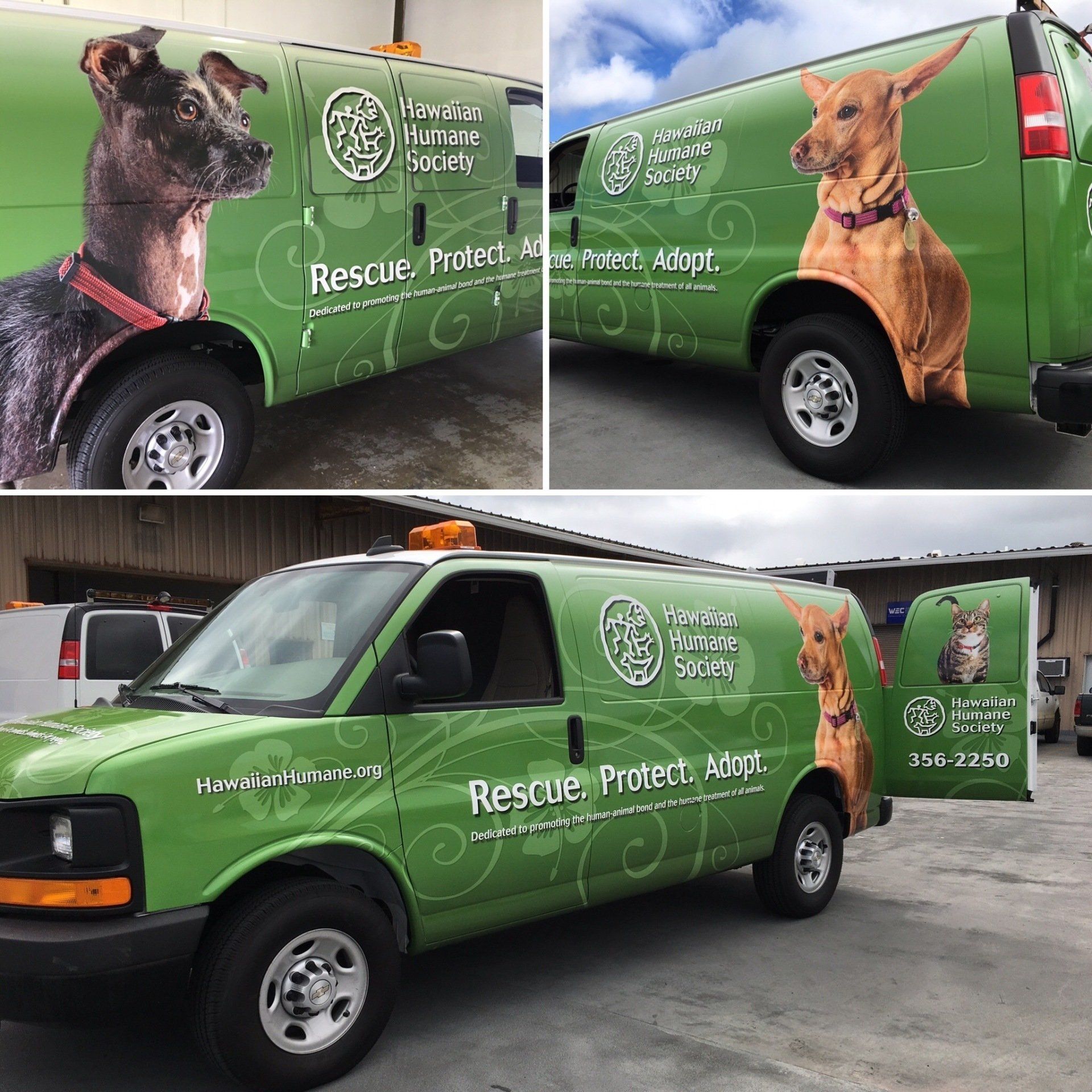 van wrap front view