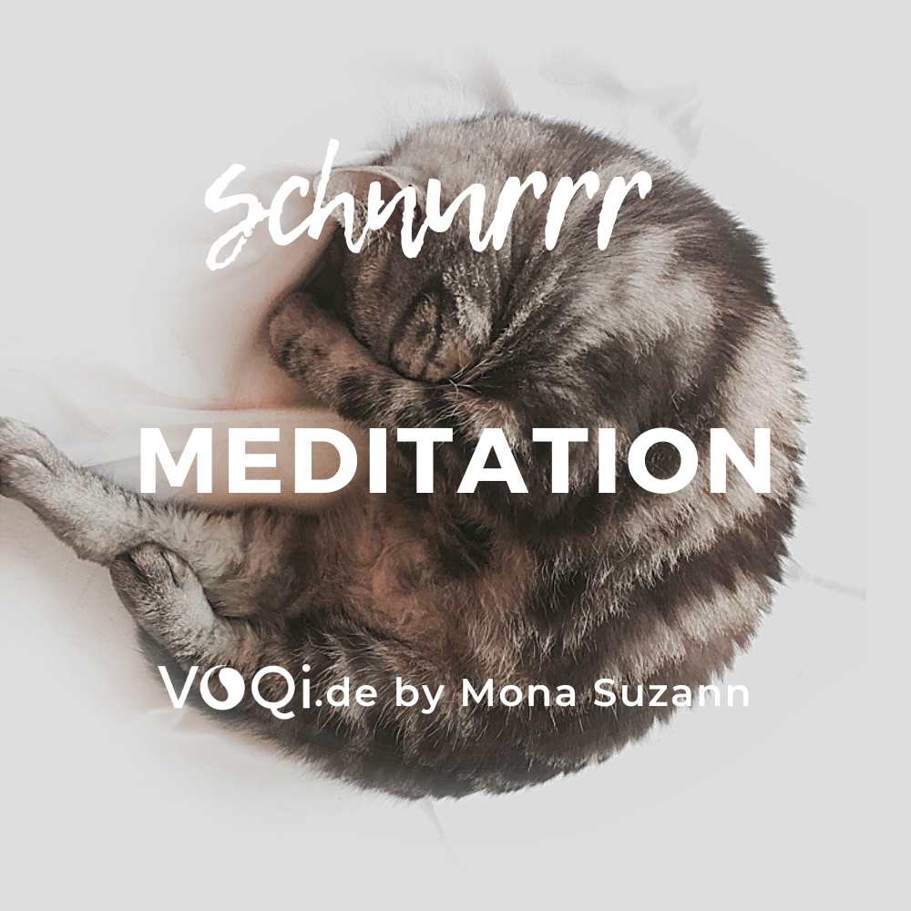 VOQi schnurrr Meditation Heilung und Entspannung durch Katzen Schnurren Niederfrequenz Stimulation
