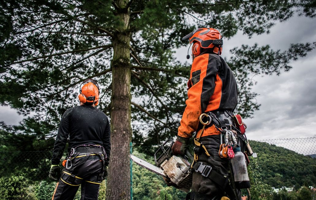 About Cherokee Tree Service of New Jersey