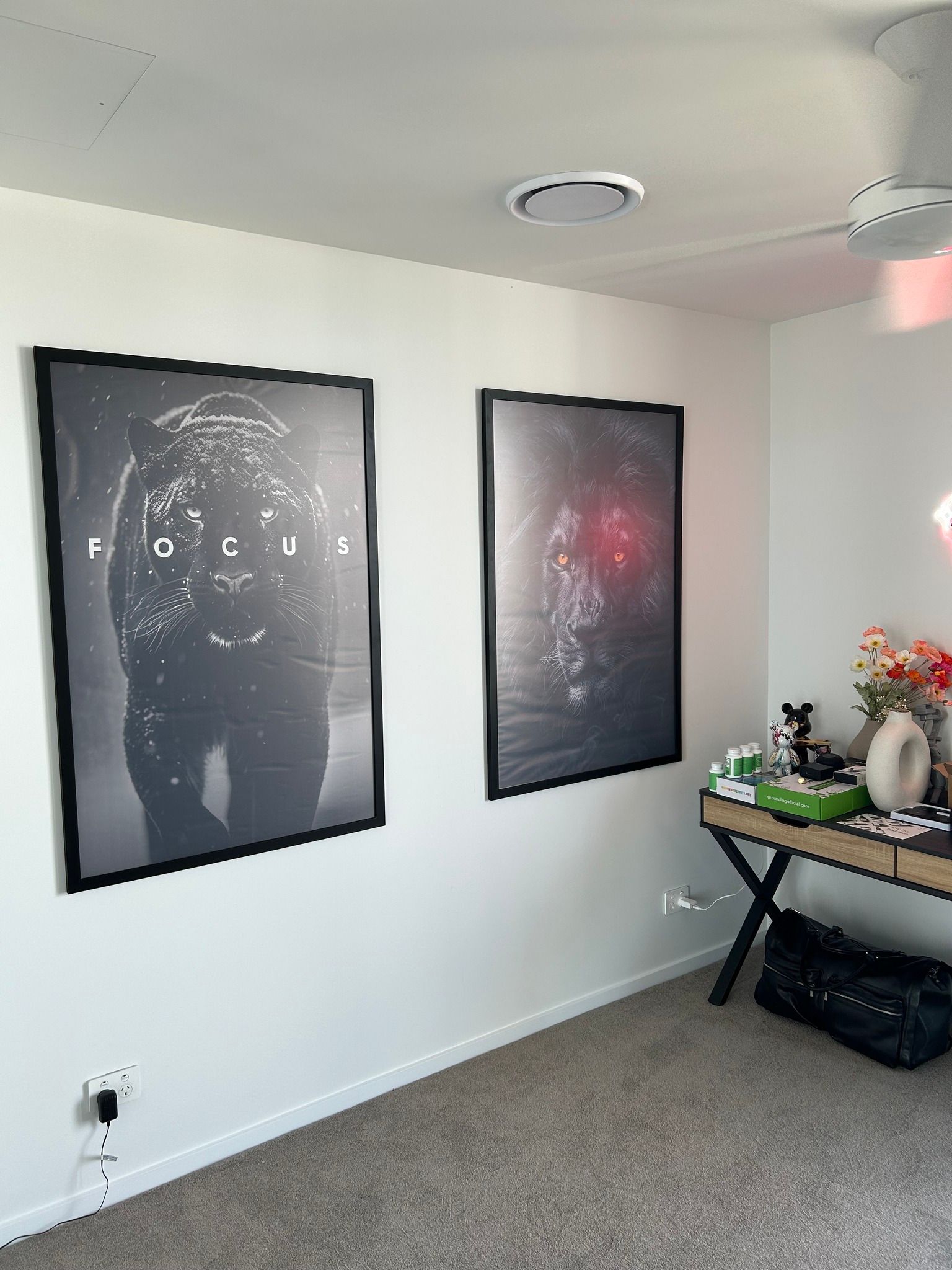 A room with two posters on the wall and a desk.