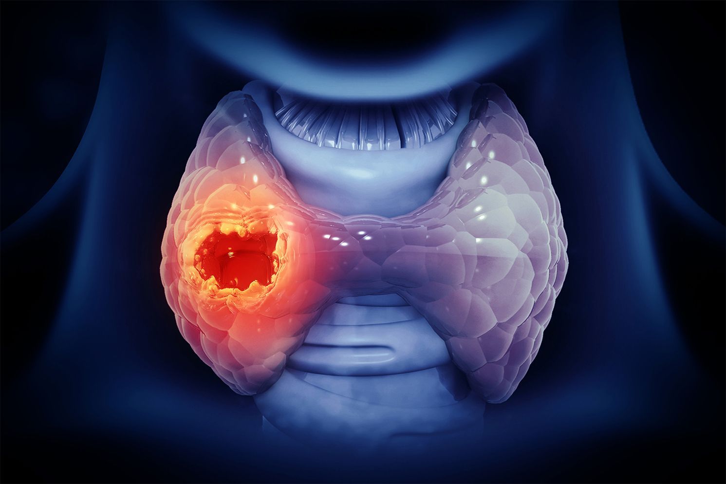 DR. SANTIAGO MENÉNDEZ ZERTUCHE