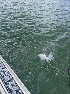 Sea Water — Murrells Inlet, SC — Diamond Nautical