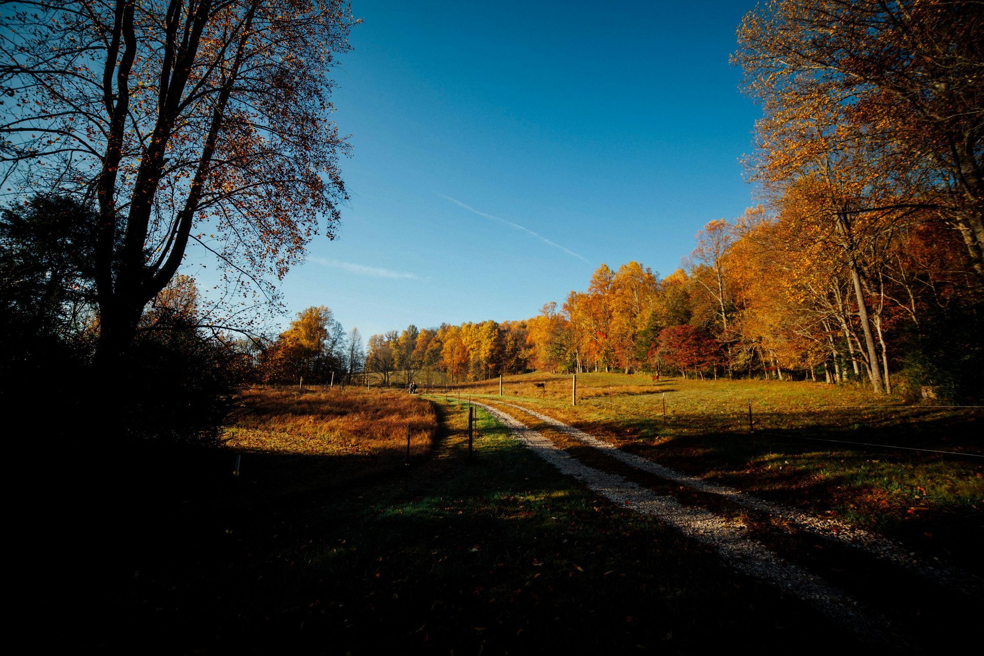 Fall Season - Perfect time for a Comfort Dynamics Fall Tune-Up