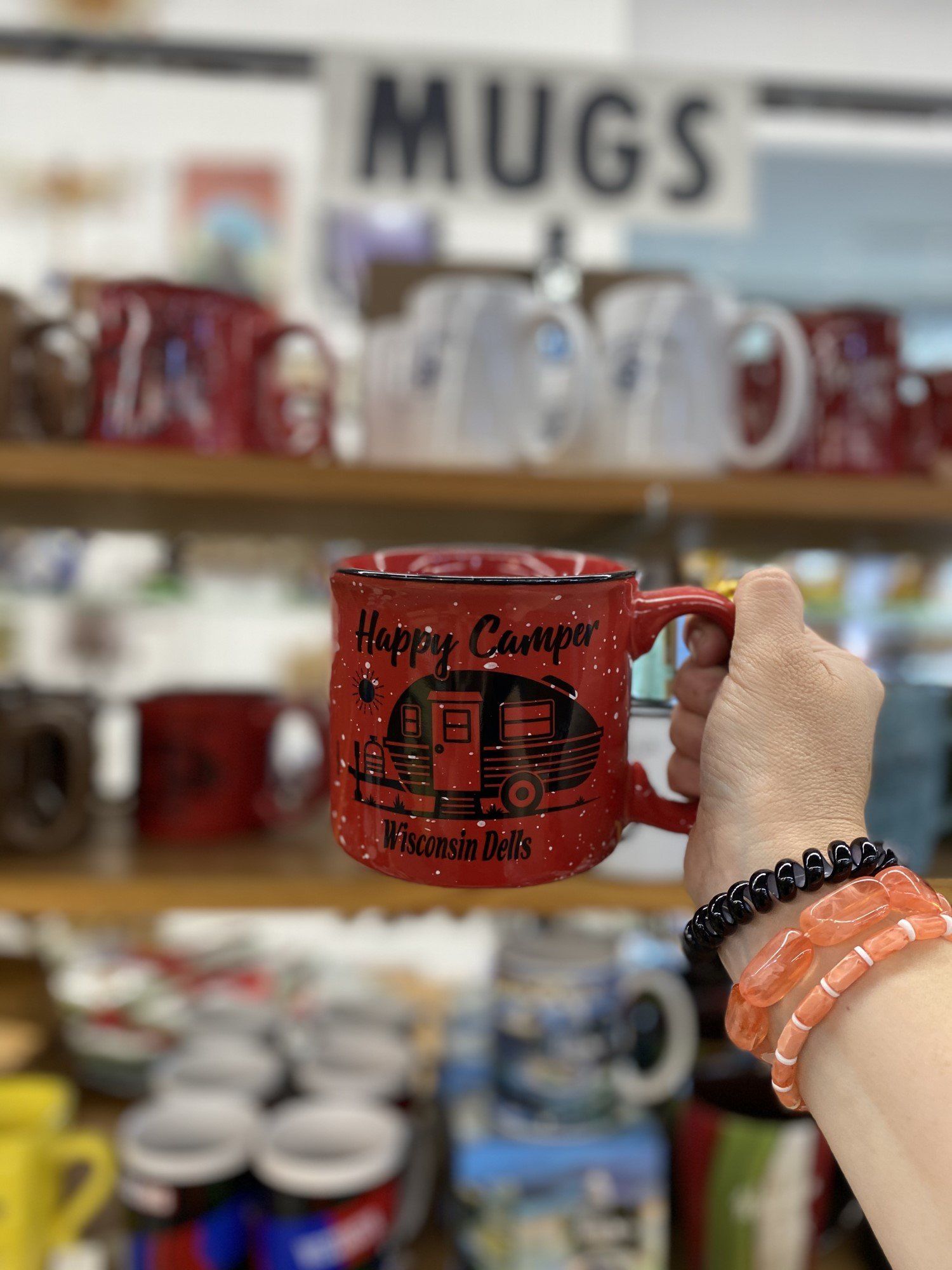 Wisconsin Dells Mug