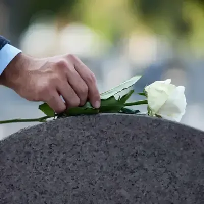 A picture of a mans hand placing a long stem white rose on the top of a grave stone