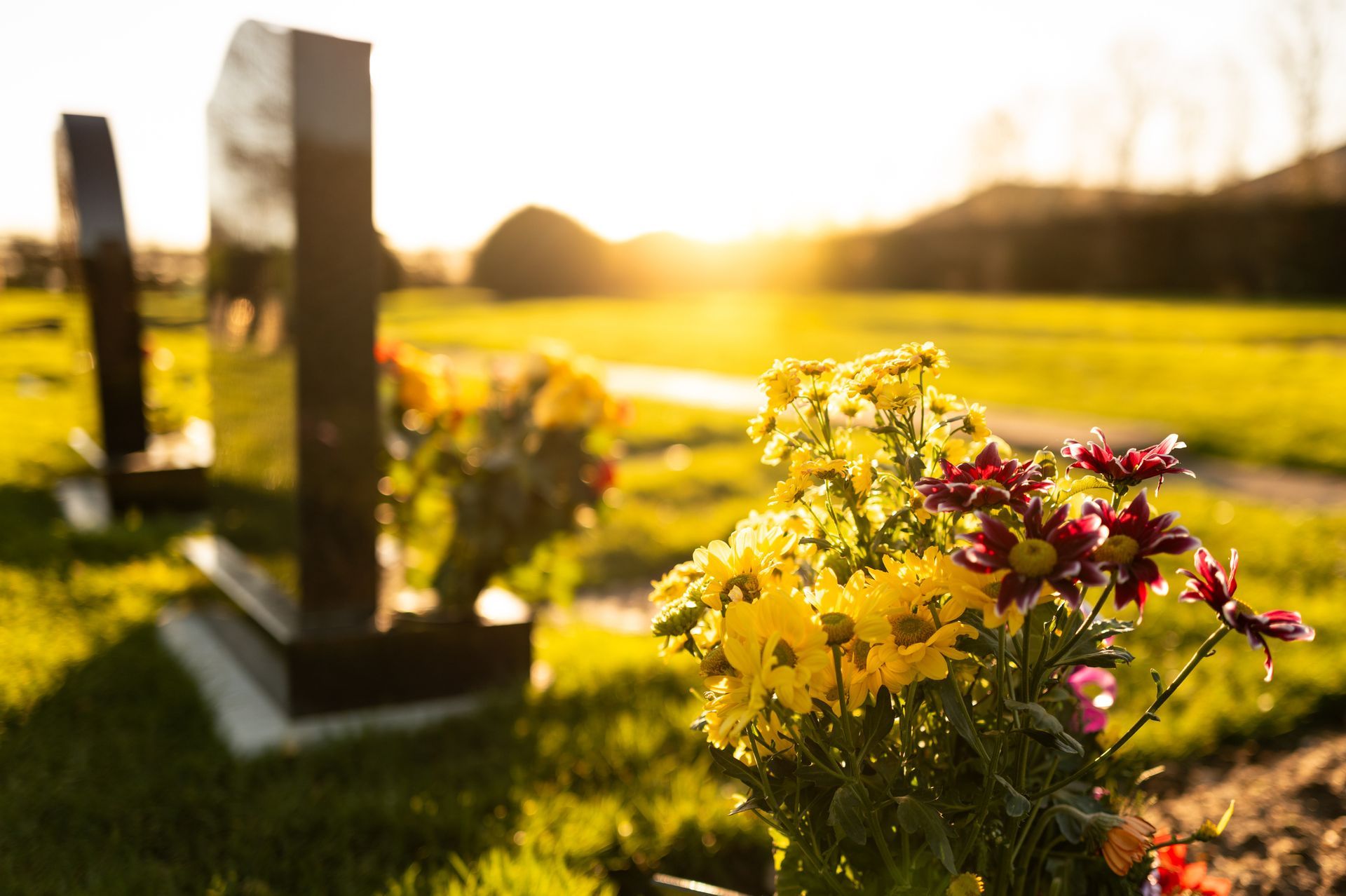 Flowers beside a gravestone in a sunlit cemetery at sunset