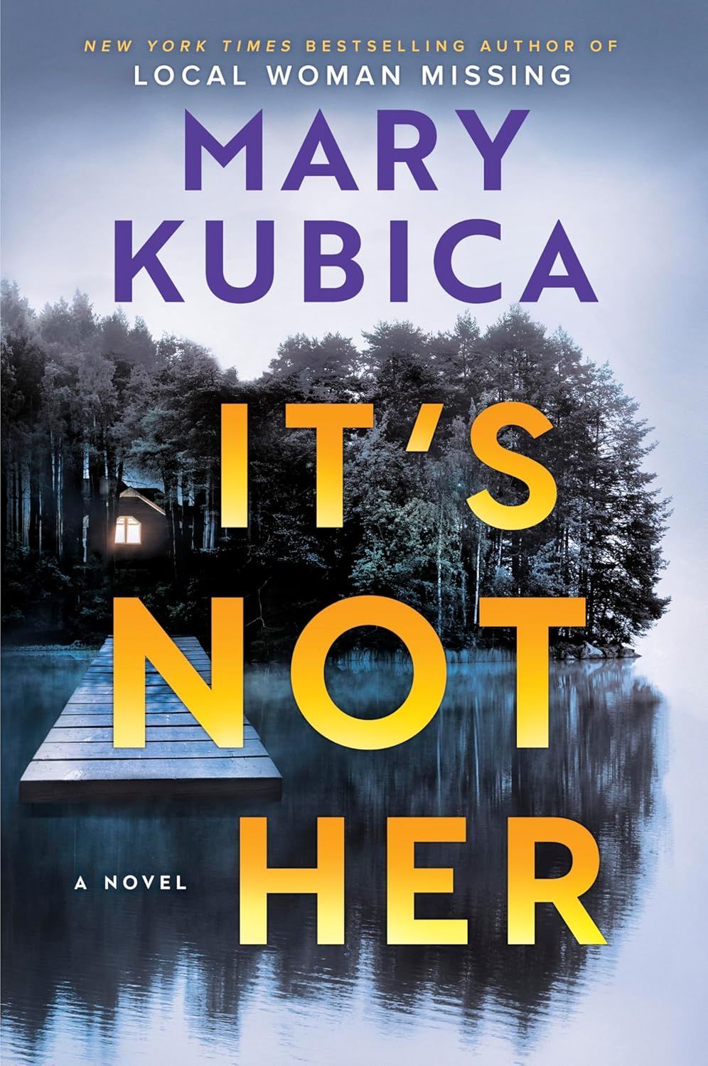 It's Not Her by Mary Kubica.