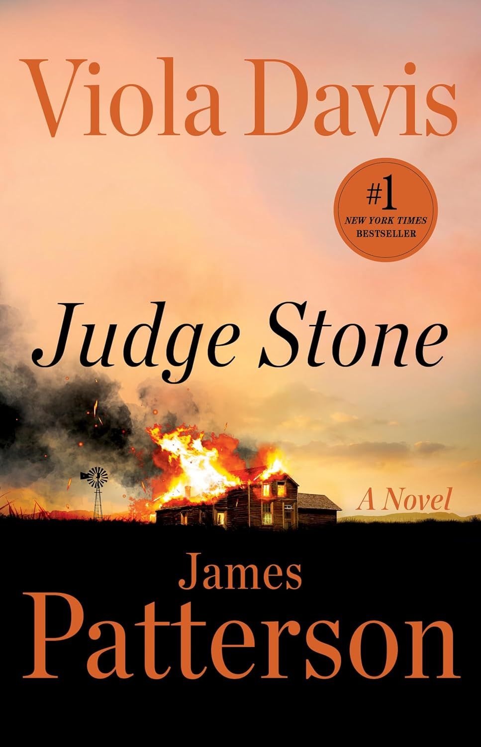 Judge Stone by James Patterson and Viola Davis.