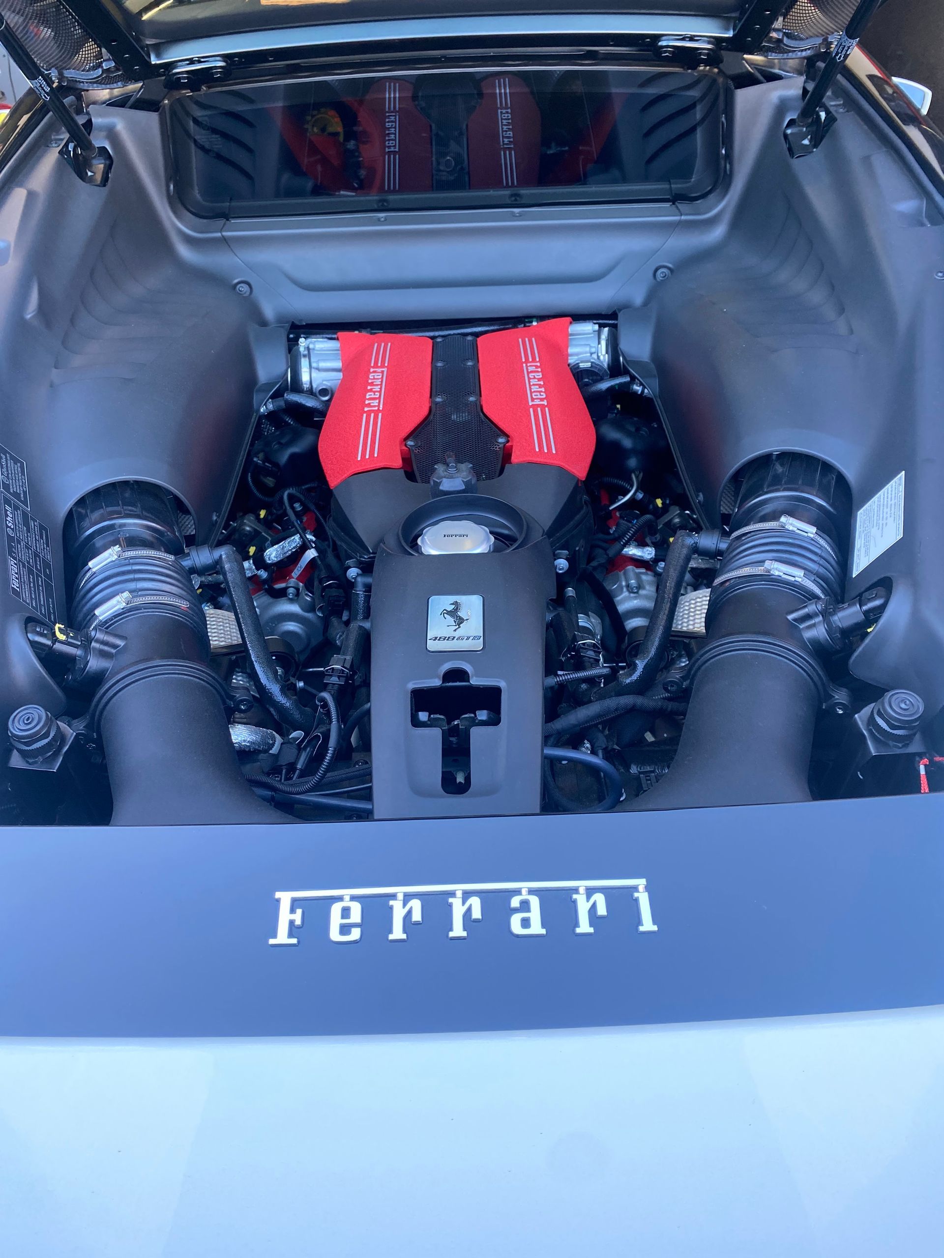 Ferrari engine bay, black and red, showing engine components.