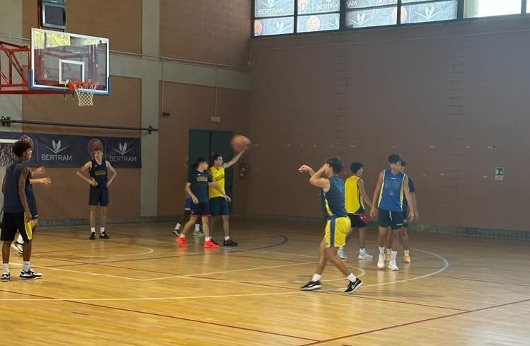 Un gruppo di persone sta giocando a basket in una palestra.