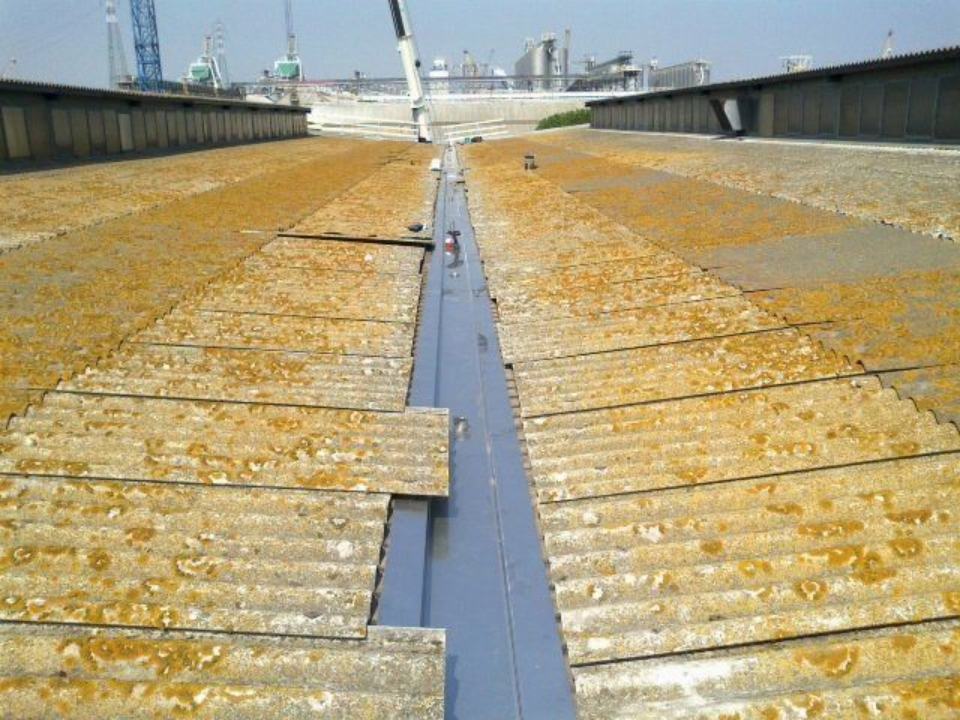 eternit prelevato da una copertura