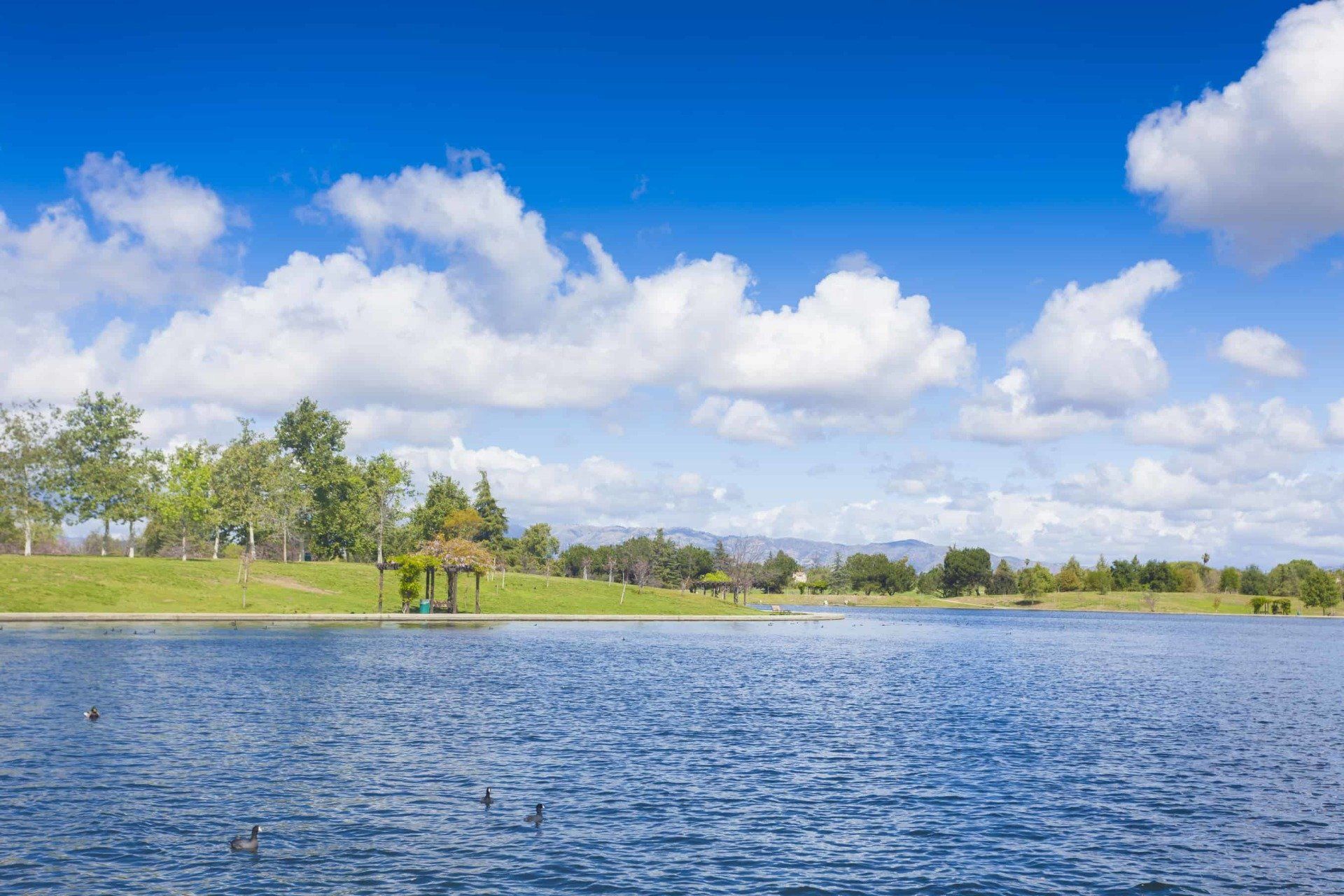 Balboa Park at the lake