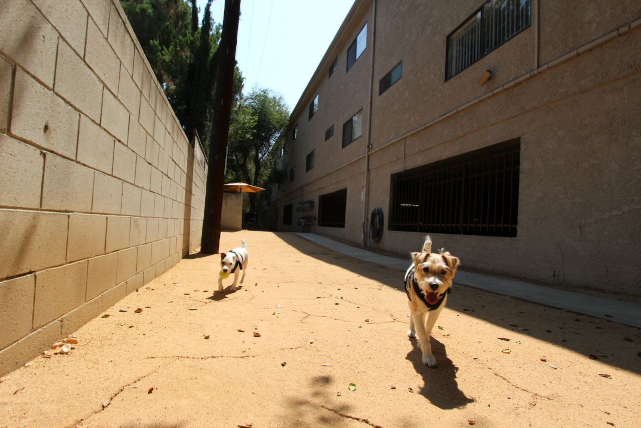 Staged unit living room Premier on Burbank