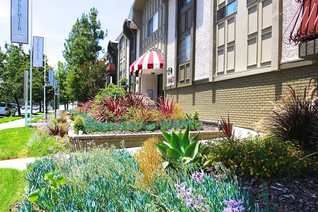 Front garden of Premier on Burbank building